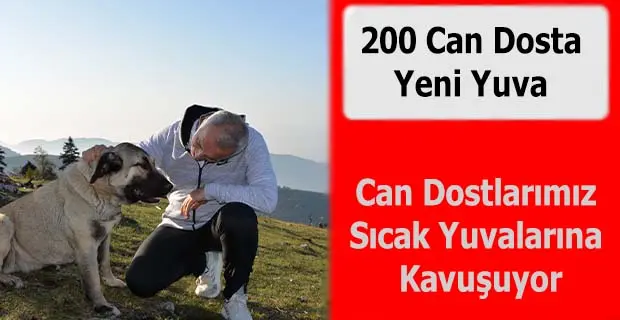 Haber: 200 Can Dosta Yeni Yuva - Öne Çıkan