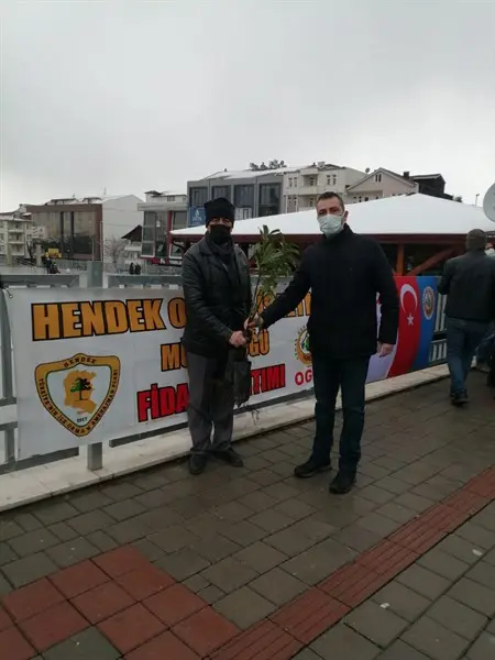 Haber: Hendek’ te Fidan Dağıttılar - Galeri-3