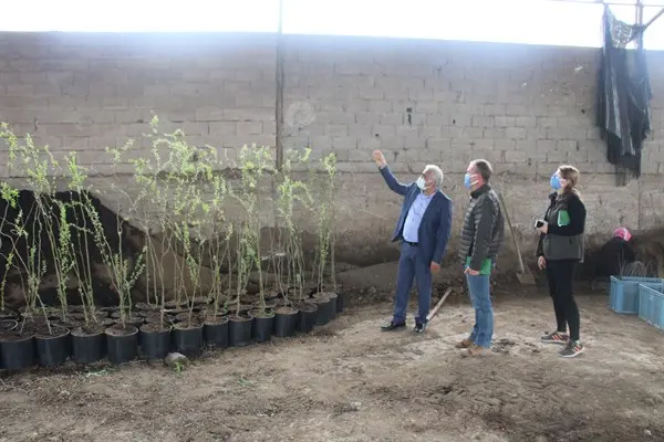 Haber: Hendek’te Fidan Tür Çeşitliliği Arttırılacak - Galeri-1