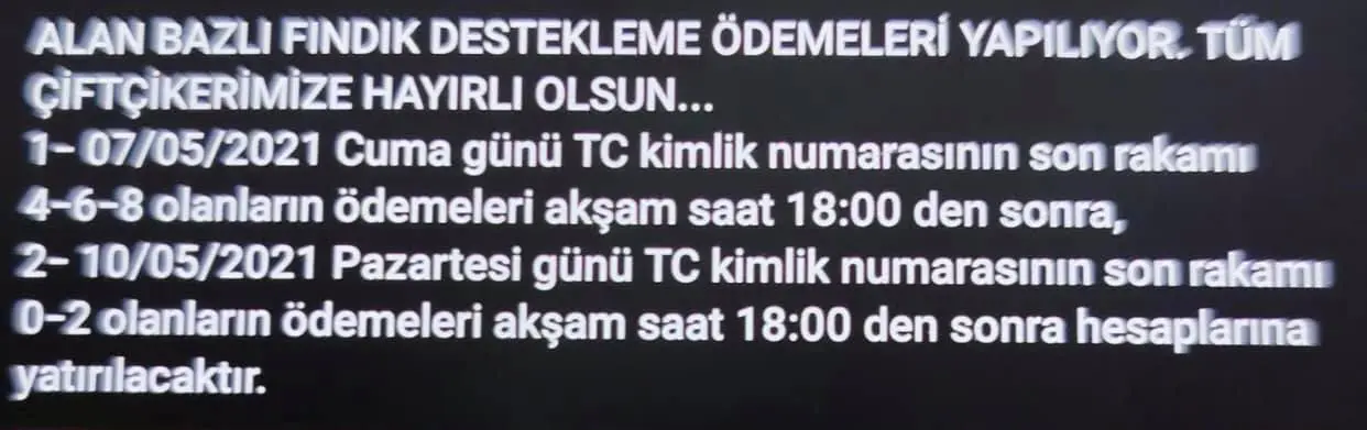 Haber: Fındık Destek Ödemeleri Başladı - Galeri-1