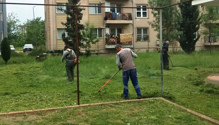 Haber: Mahallelerde Yabani Otla Mücadele Sürüyor - Galeri-2