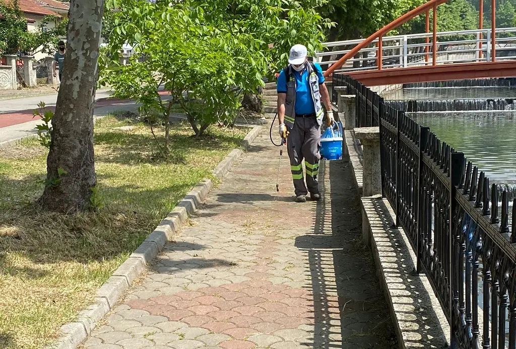 Haber: Mahallelerde Yabani Otla Mücadele Sürüyor - Galeri-1