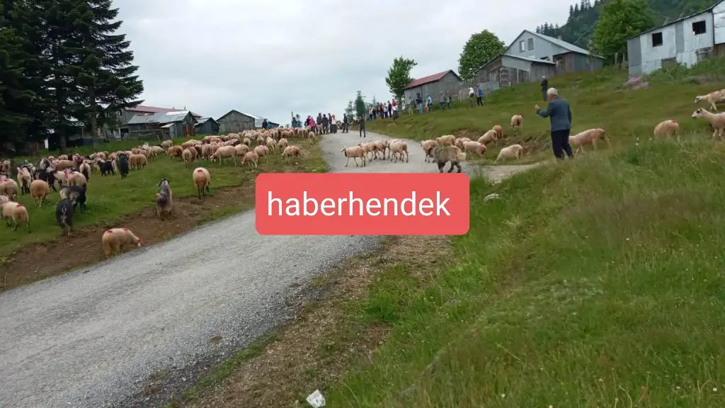 Haber: Zirvede Göç Başladı - Galeri-1