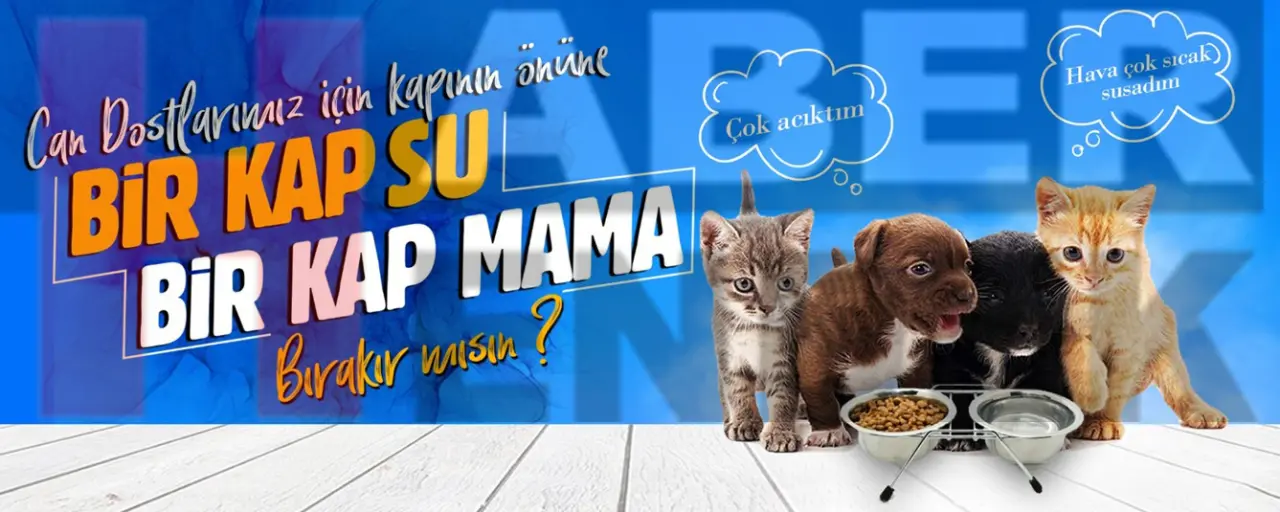 Haber: Kapının Önüne Bir Kap Su Koymaya Ne Dersin - Öne Çıkan