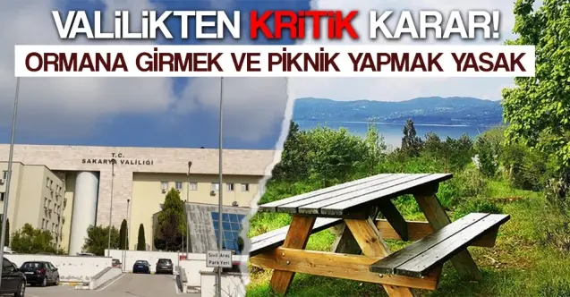 Haber: Valilik Açıkladı, Ormana Girmek, Piknik Yapmak Yasak - Öne Çıkan