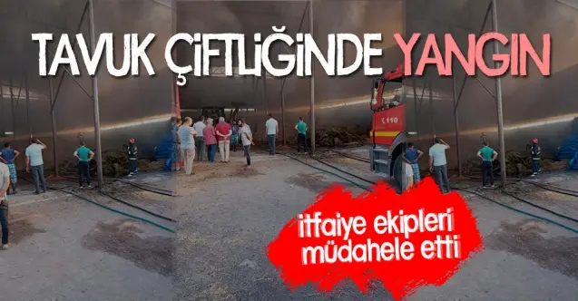 Haber: Tavuk Çiftliğinde Çıkan Yangın Panik Yarattı - Öne Çıkan
