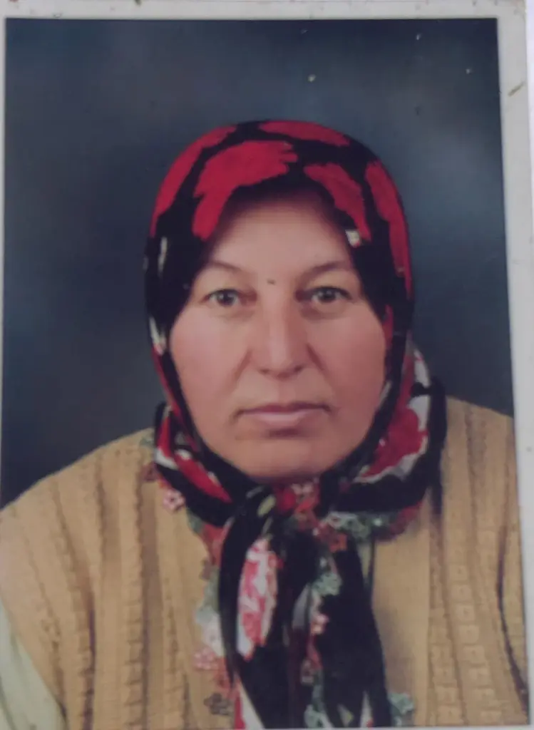 Haber: Kaybolan Kadını Arama Çalışması Başlatıldı - Galeri-1