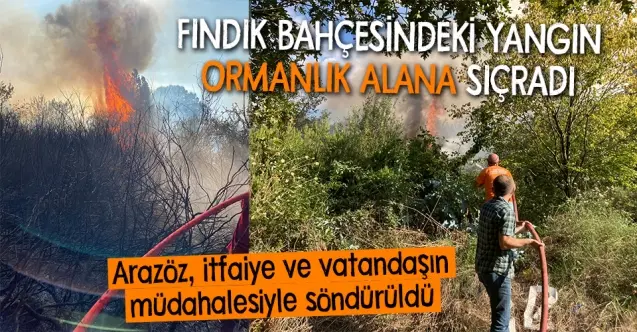 Haber: Hendek’te korkutan yangın - Öne Çıkan