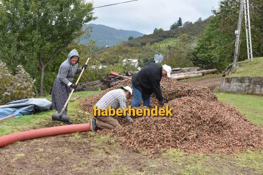 Haber: Çiftçiler Fiyatlardan Şikayetçi - Galeri-1