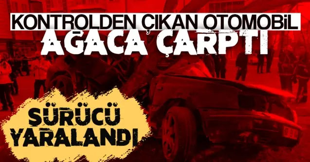 Haber: Kontrolden çıkan araç ağaca çarptı - Öne Çıkan