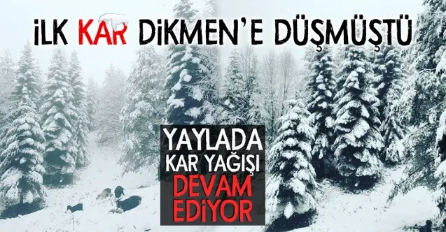 Haber: Dikmen Yaylasında kar yağışı devam ediyor - Öne Çıkan