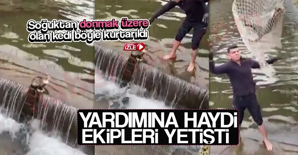 Haber: Kedinin yardımına HAYDİ ekipleri koştu - Öne Çıkan