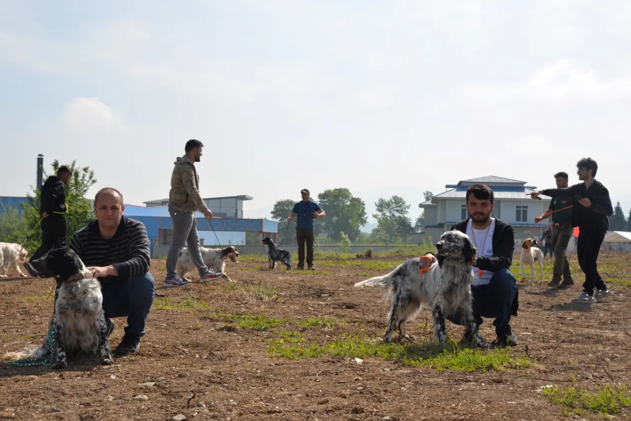 Haber: Hendek’te En İyi Av Köpekleri Yarıştı - Öne Çıkan