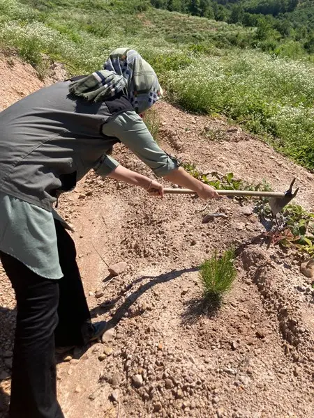Haber: Sahilçamı Fidanları Geleceğe Nefes Olacak - Galeri-2