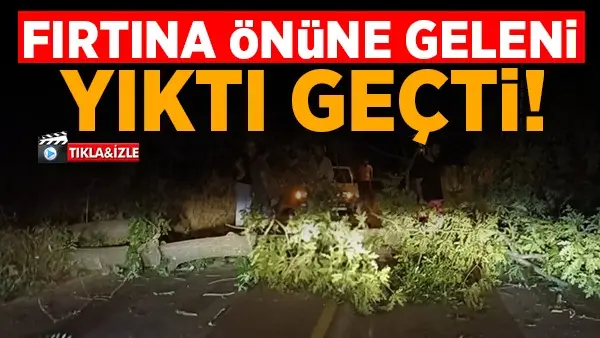 Haber: Fırtına Ağaçları Devirdi, Yol Kapandı - Öne Çıkan