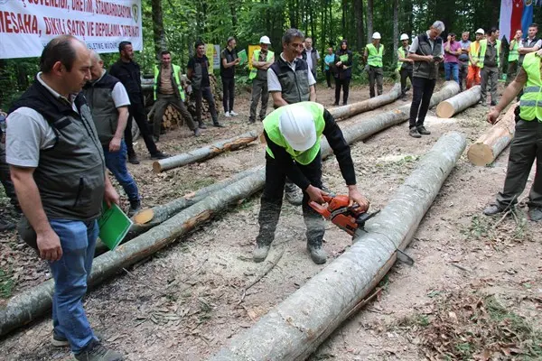 Haber: Üretim Ve Silvikültür Tatbikatları Devam Ediyor - Galeri-1