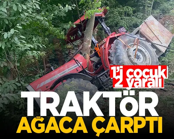 Haber: Yoldan çıkan Traktör Ağaca Çarparak Durdu - Öne Çıkan