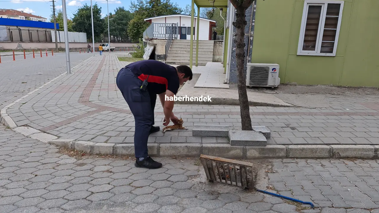 Haber: İtfaiye'den Yavru Kediye Şefkat eli - Galeri-1