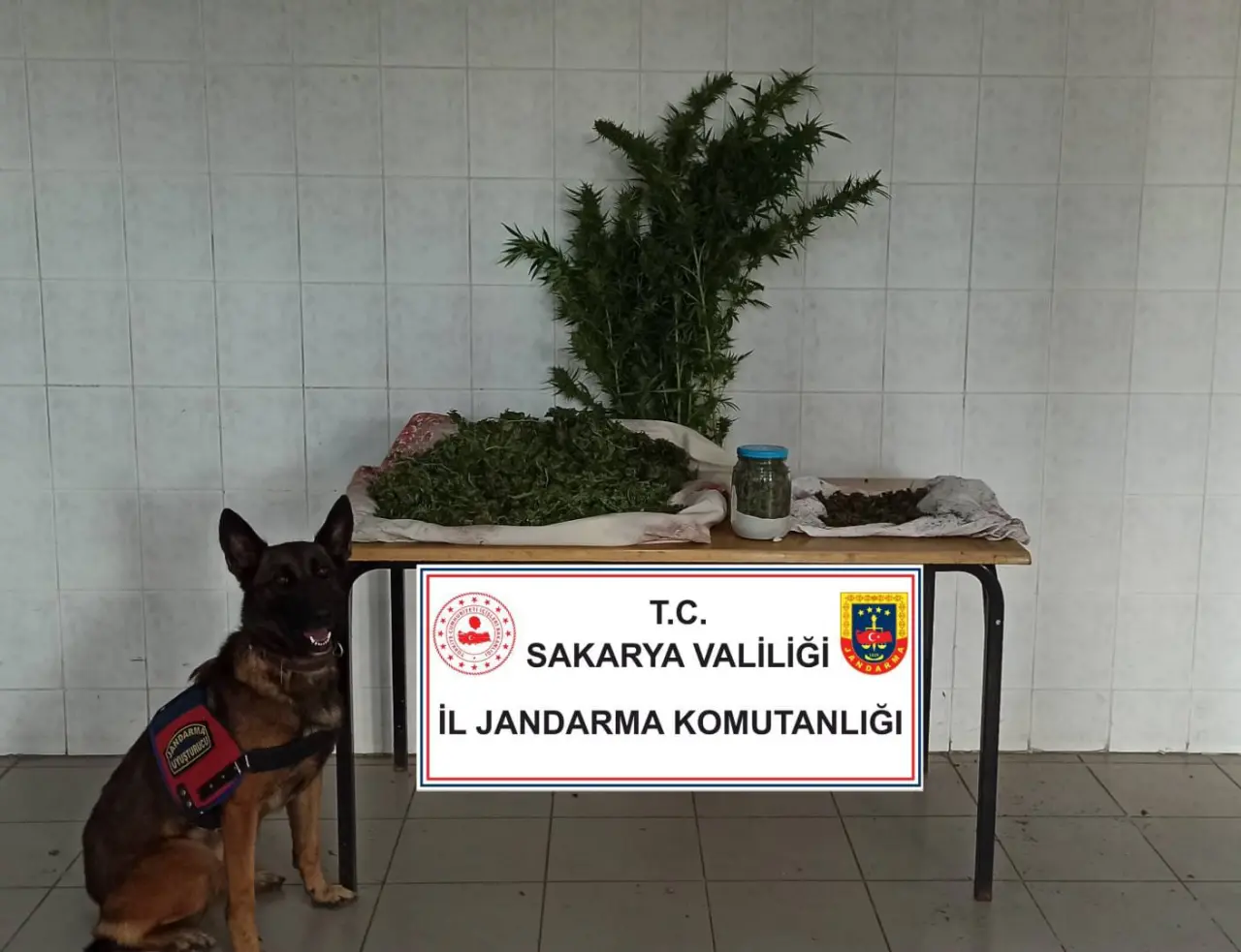 Haber: Jandarmadan Hendek'te Uyuşturucu Operasyonu - Öne Çıkan