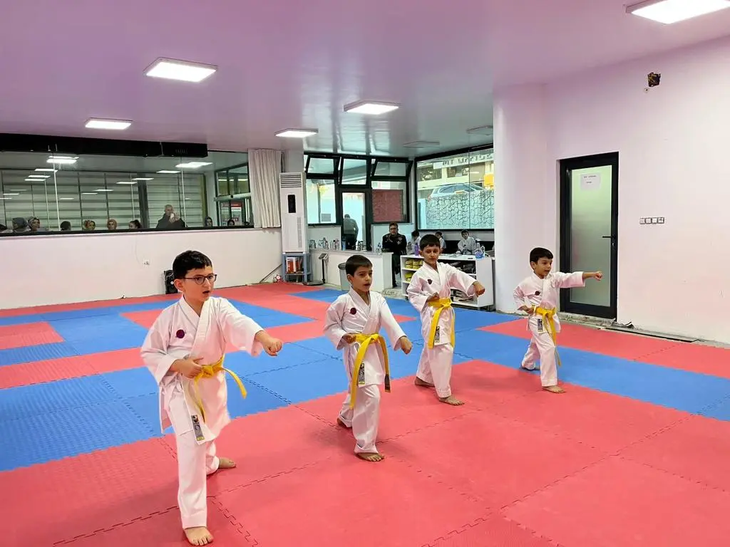 Haber: Hendek Belediyesi Karate Takımı Sporcuları Terfi Etti - Galeri-3