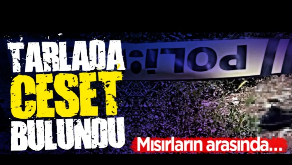 Haber: Mısır tarlasında ceset bulundu - Öne Çıkan