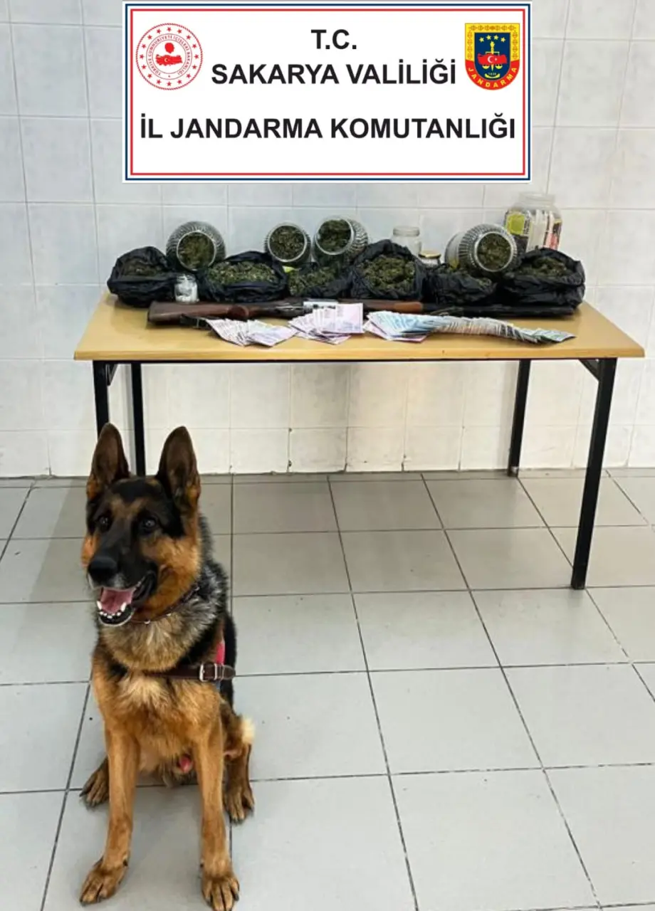 Haber: Jandarma'dan Uyuşturucu Operasyonu - Galeri-1