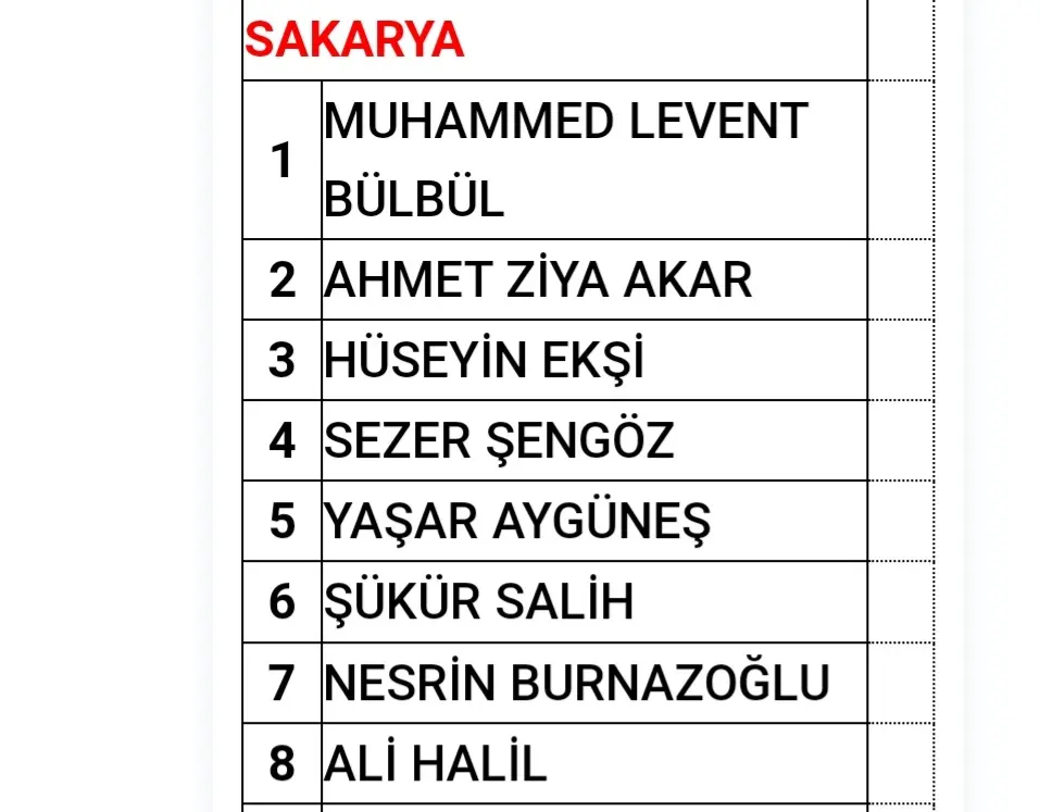 Haber: MHP'li Aygüneş Milletvekili Adayı oldu - Galeri-1
