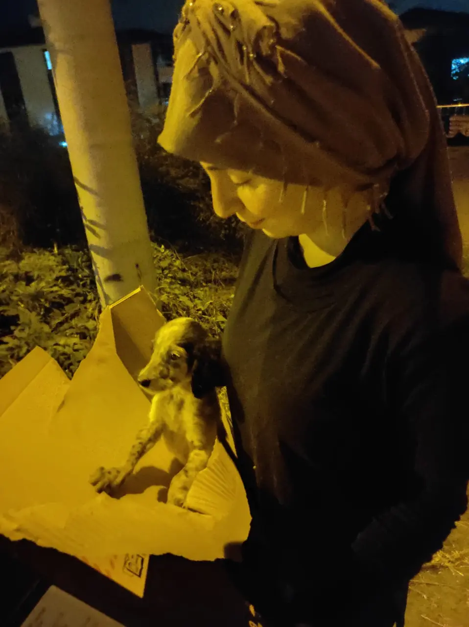 Haber: Araçta sıkışan yavru Köpek kurtarıldı - Galeri-1