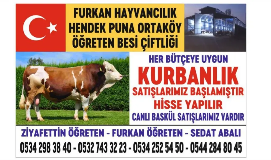 Haber: Kurbanlık Hisse Satışlarımız devam ediyor - Öne Çıkan