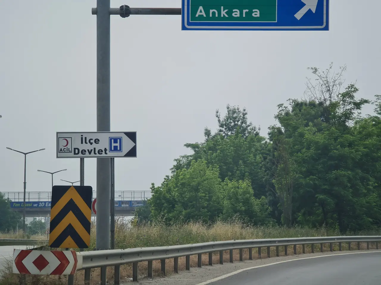 Haber: Karayolunda ki Otlar ne zaman biçilecek - Öne Çıkan