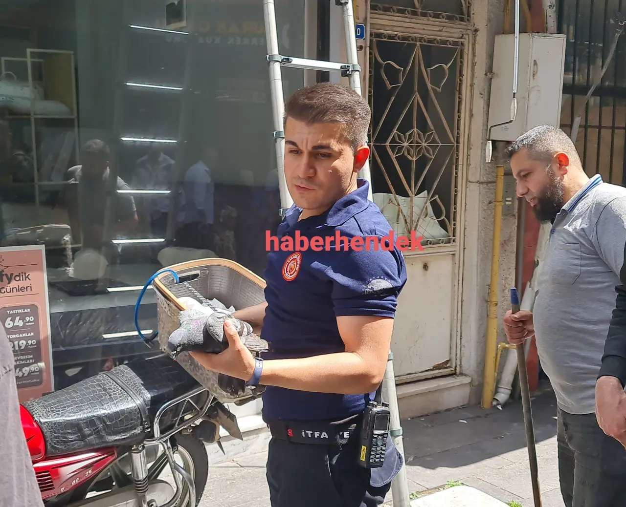 Haber: Tabela arasına sıkışan güvercin kurtarıldı - Galeri-1