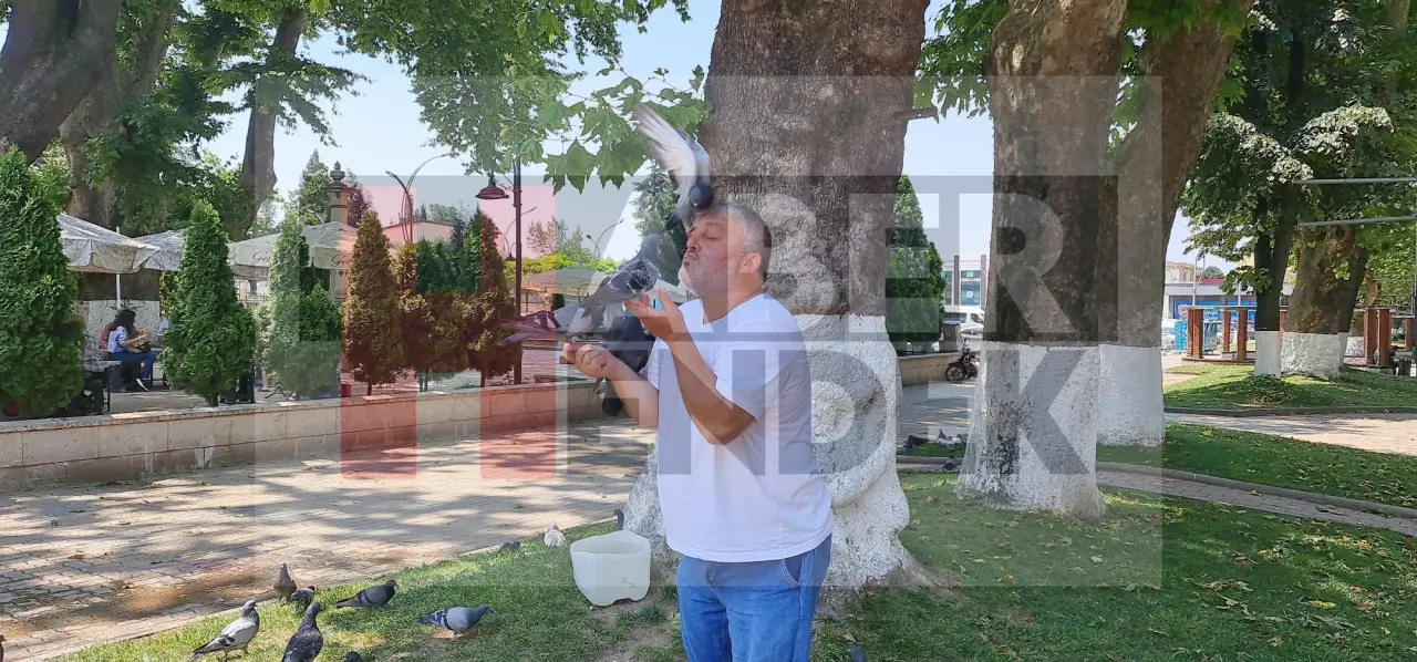 Haber: Amigo Fatih Güvercinleri elleriyle besliyor - Galeri-1