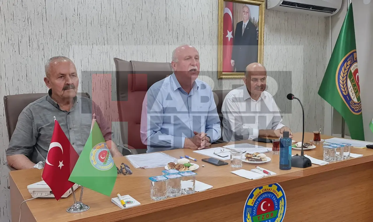 Haber: Bayraktar Ortalama Fındık Fiyatını Açıkladı - Öne Çıkan