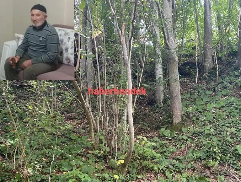 Haber: Fındık Toplarken vefat etti - Öne Çıkan