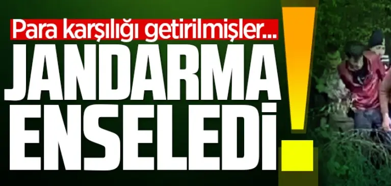 Haber: Jandarma 15 düzensiz göçmeni enseledi - Öne Çıkan