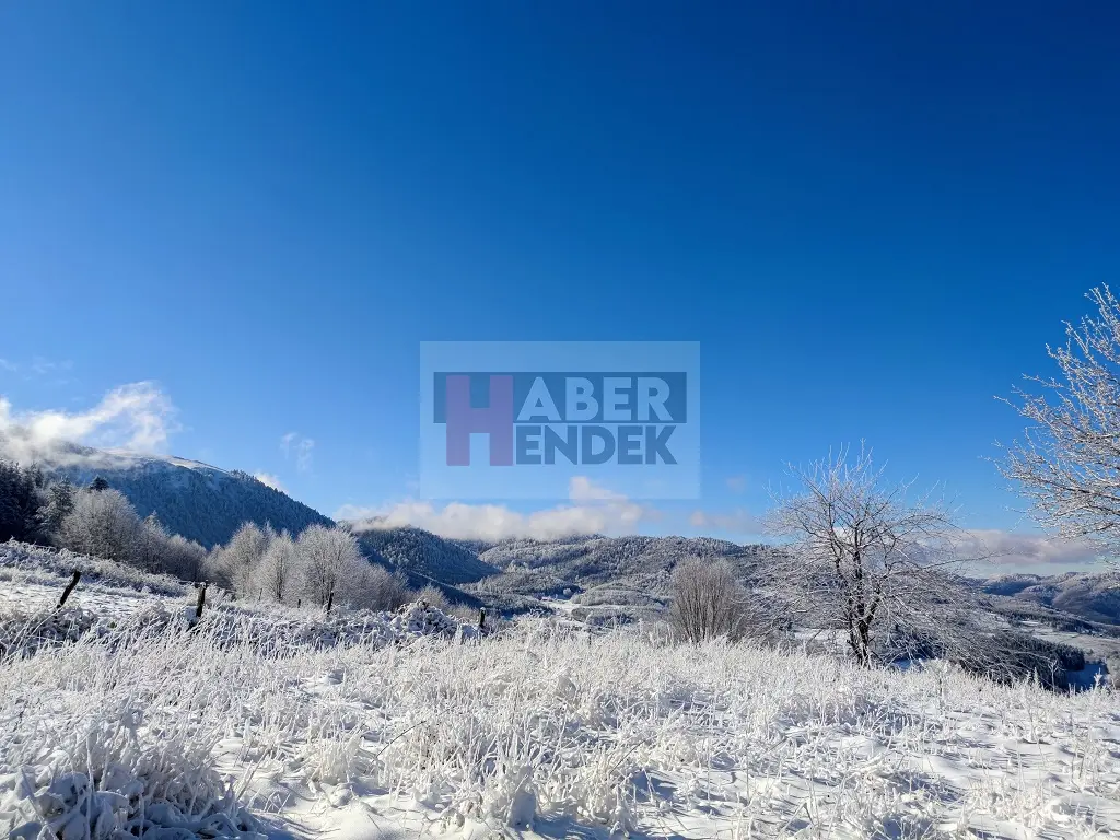 Haber: Dikmen ve Çiğdem Yaylası'ndan kar manzaraları - Galeri-2