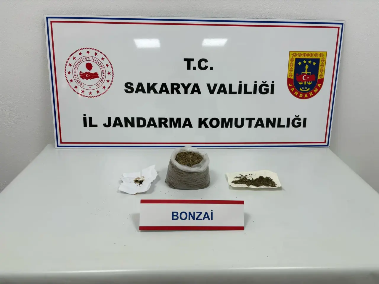Haber: Uyuşturucu operasyonu, 1 tutuklama - Öne Çıkan