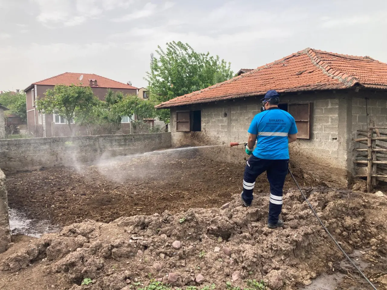 Haber: Büyükşehir ekipleri haşere ve vektörlere karşı etkin mücadele yürütüyor - Öne Çıkan