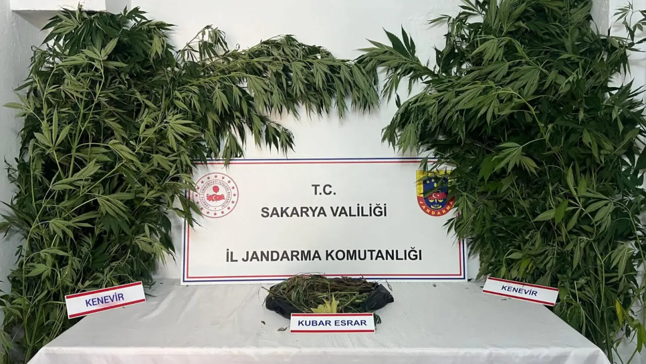 Haber: Jandarmadan 4 ilçede operasyon  - Galeri-3