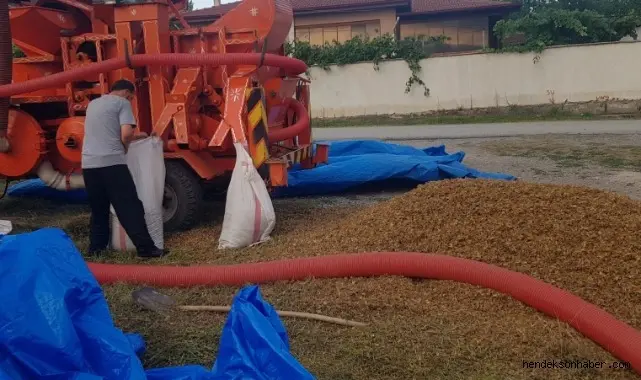 Haber: Fındık Patoz fiyatı belli oldu - Öne Çıkan