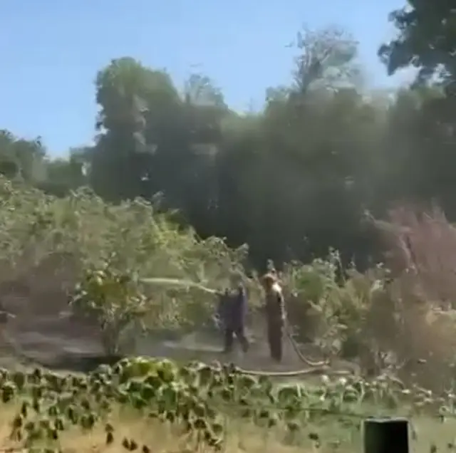 Fındık Bahçesinde çıkan Yangın kısa sürede söndürüldü 