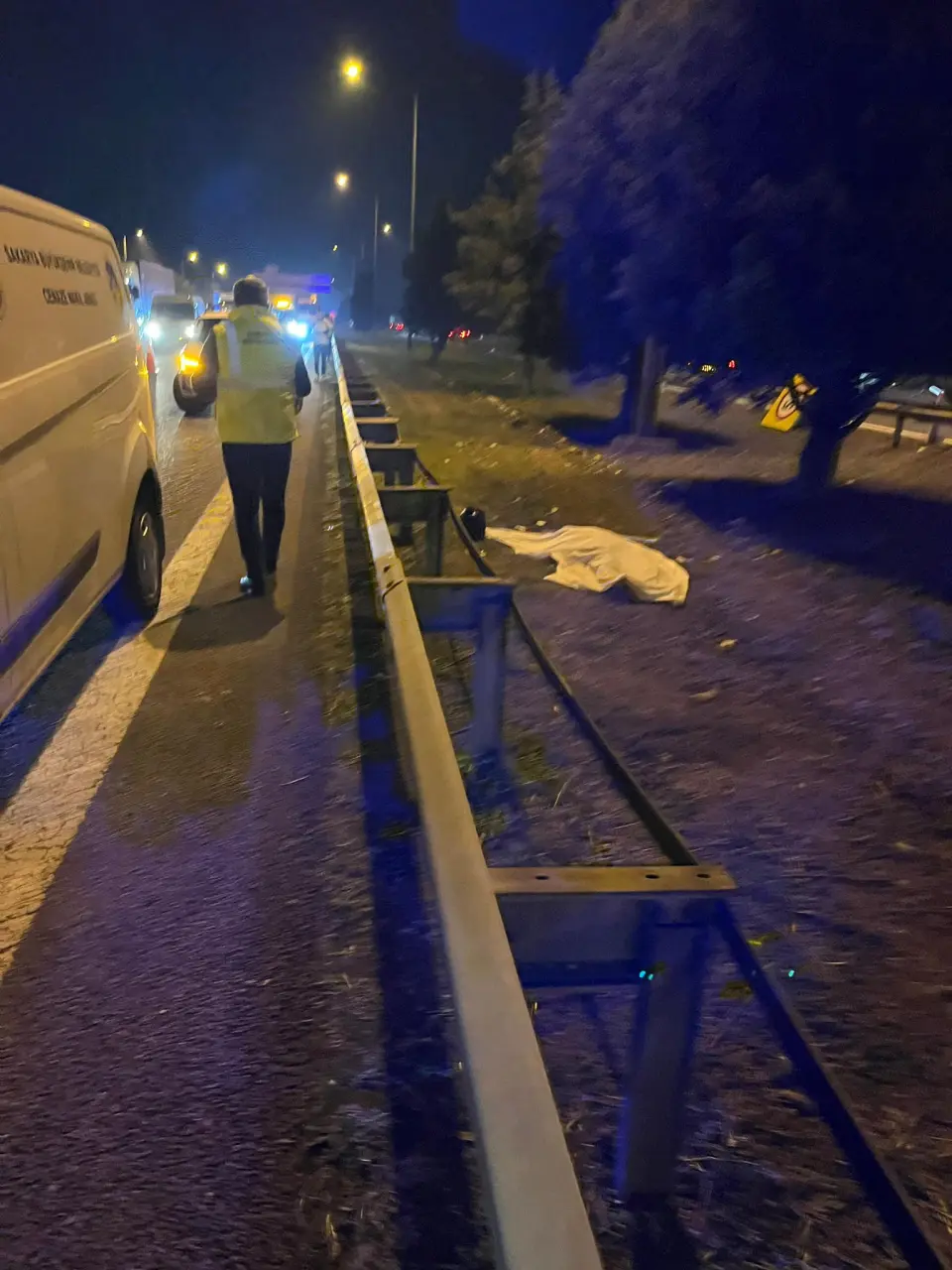 Haber: TEM Otoyolu'nda Araç yayaya çarptı. 1 kişi öldü - Öne Çıkan