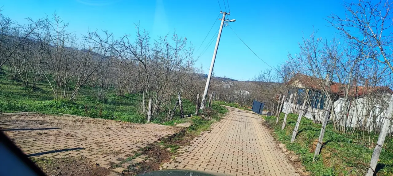 Haber: Kazımiye Mahallesi Sakinlerinden Asfalt Tepkisi - Galeri-4