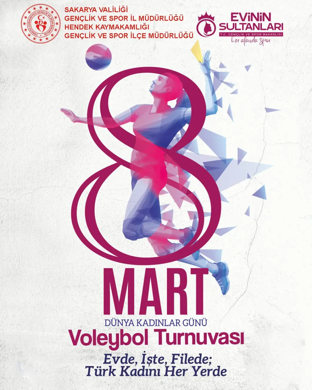 Haber: 8 Mart Dünya Kadınlar Günü Voleybol Turnuvası düzenlenecek - Öne Çıkan