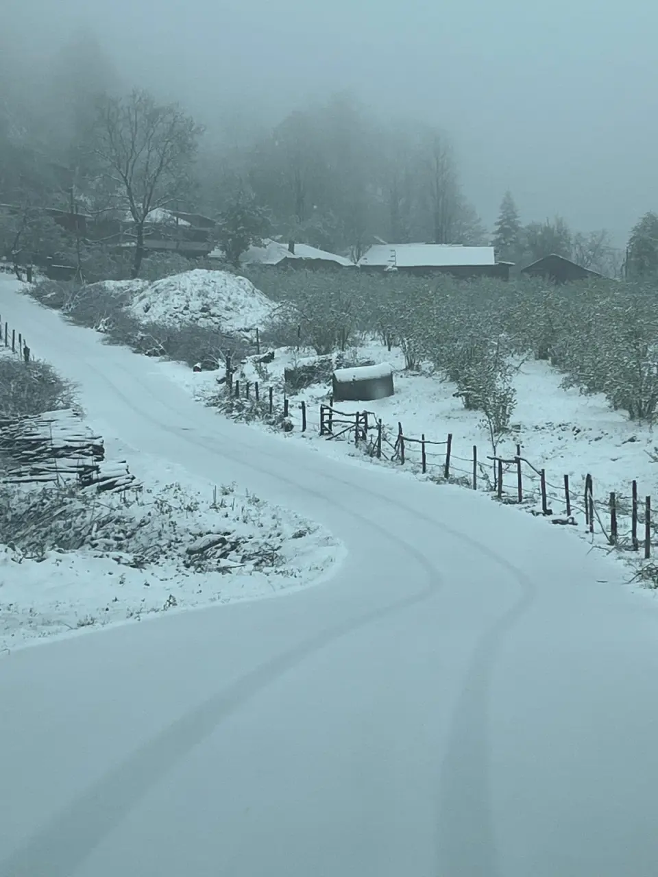 Haber: Hendek'in yüksek kesimlerinde kar yağışı devam ediyor - Galeri-3