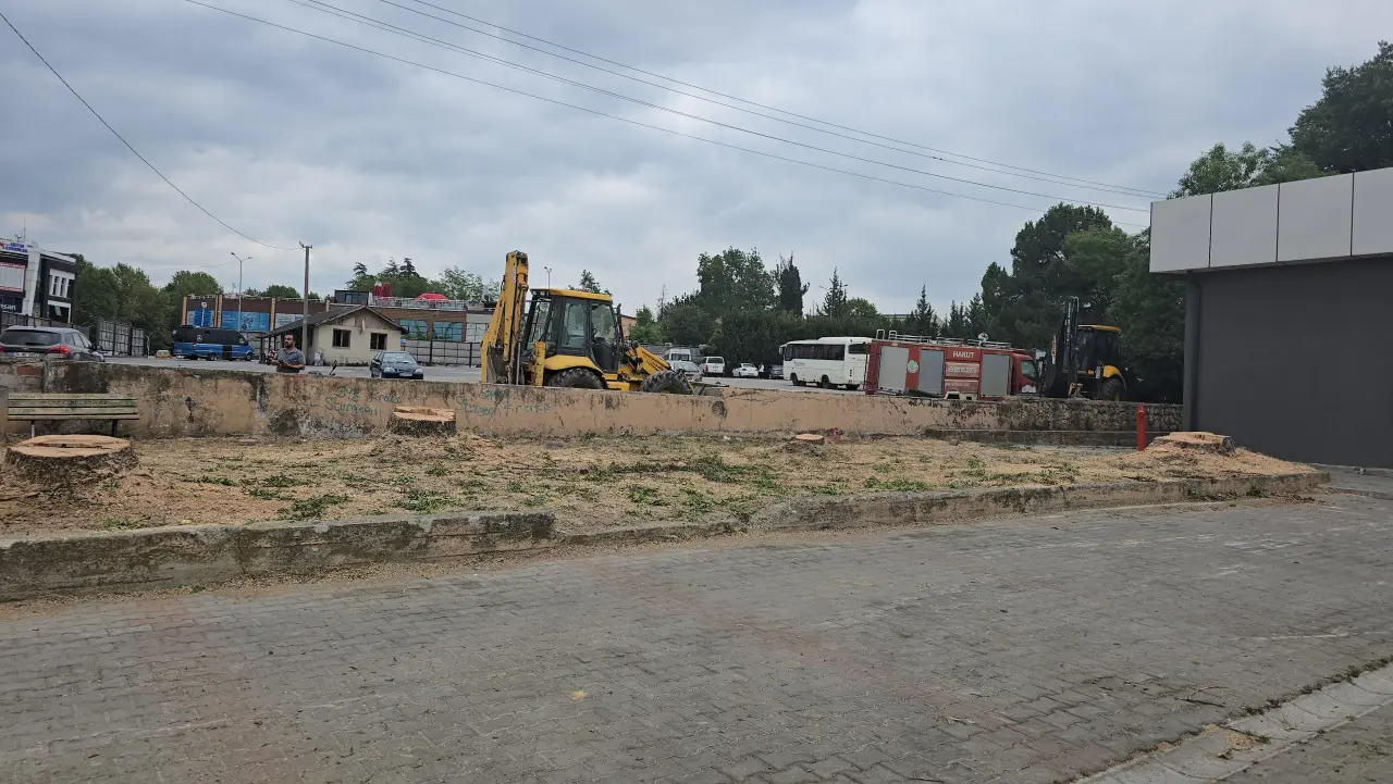 Haber: Hendek Belediyesi Ağaçları Kesti - Öne Çıkan
