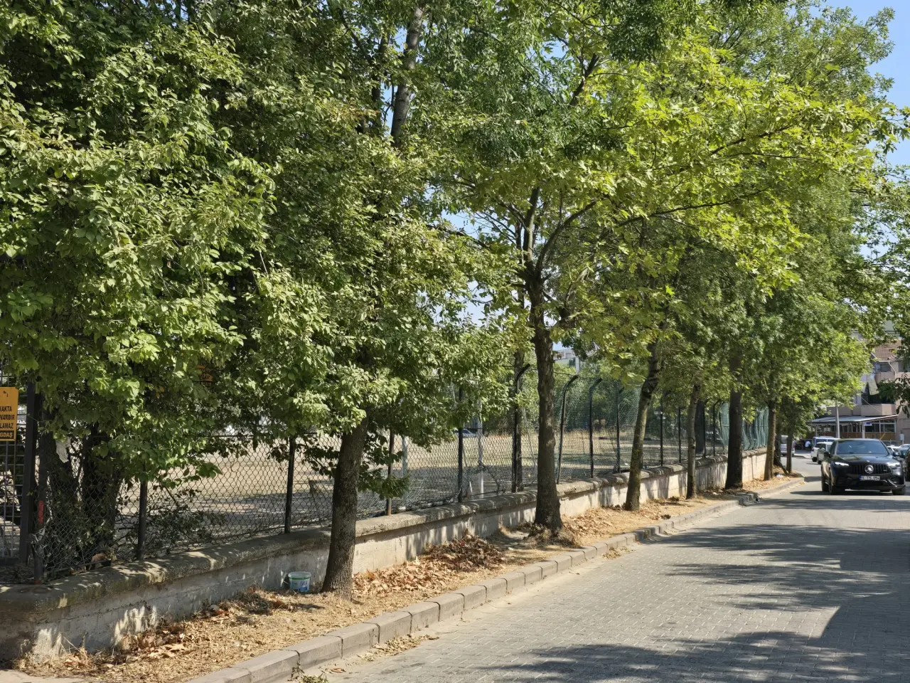 Haber: Vatandaşlar Endişeli; İnşallah o ağaçlarda kesilmez - Galeri-1