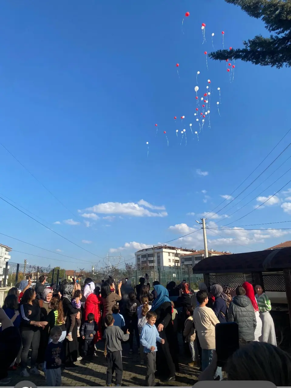 Haber: Üç Hilalin Aydınlığında Engelsiz Yarınlara - Galeri-1