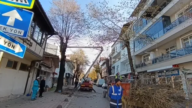 Hendek’te Budama mesaisi