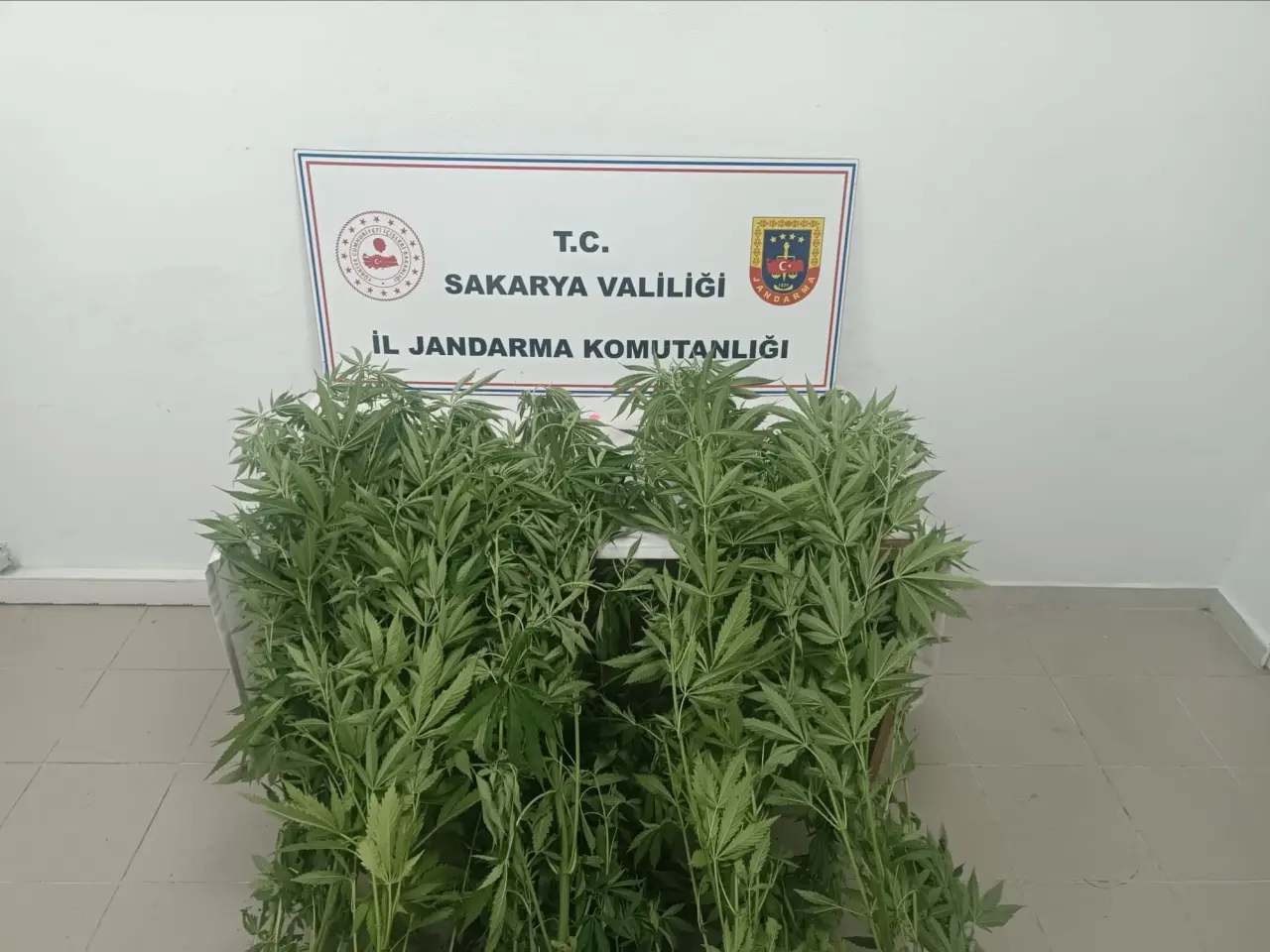 Haber: Jandarma'dan Uyuşturucu Operasyonu - Galeri-1
